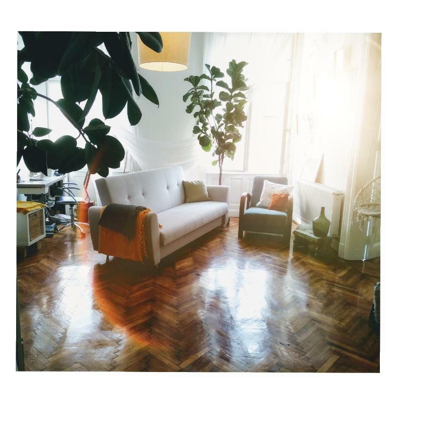 Jolie Apartment In Historical Center Budapest Exteriör bild