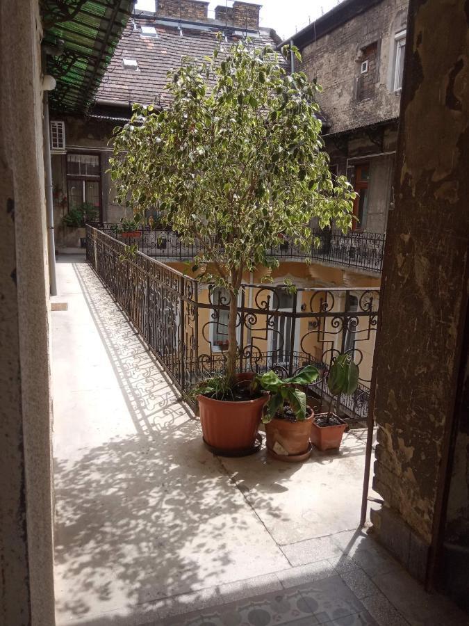 Jolie Apartment In Historical Center Budapest Exteriör bild